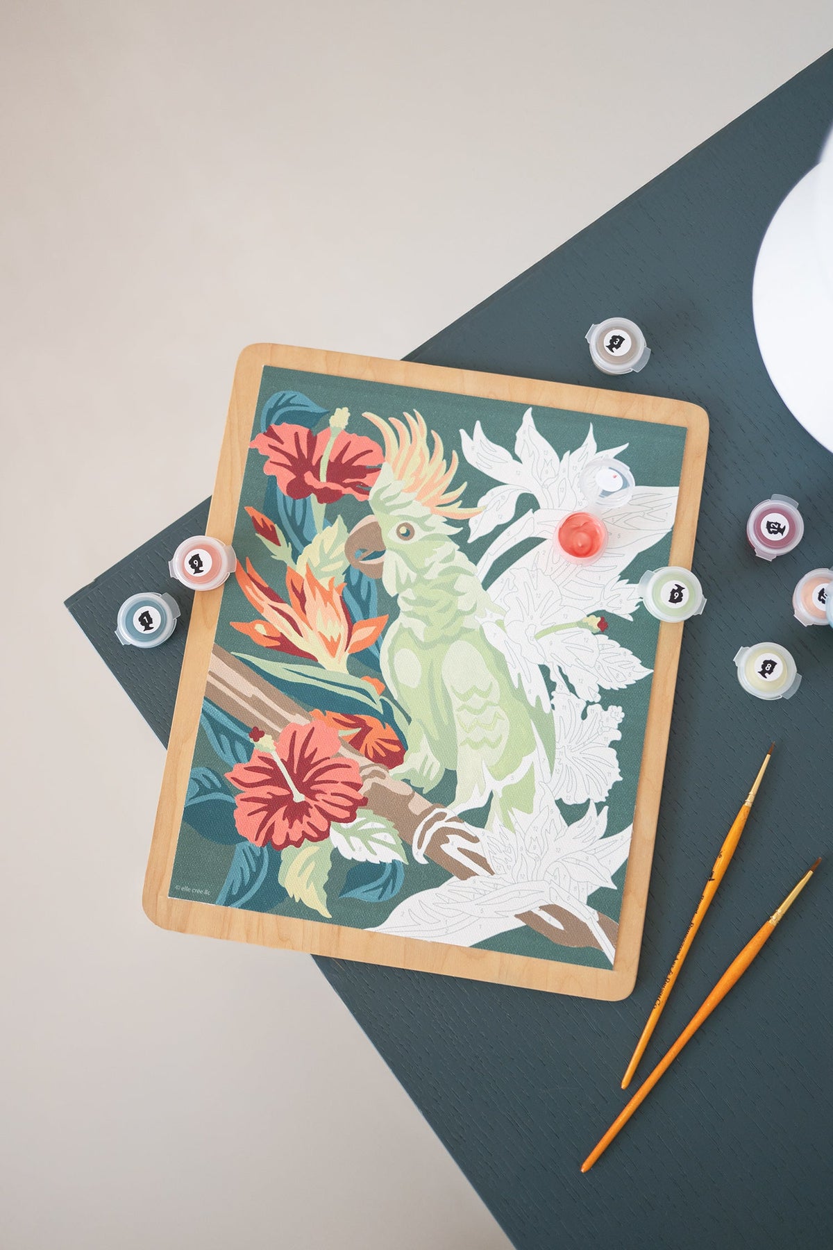 Perched in Paradise | 8x10 paint-by-number kit