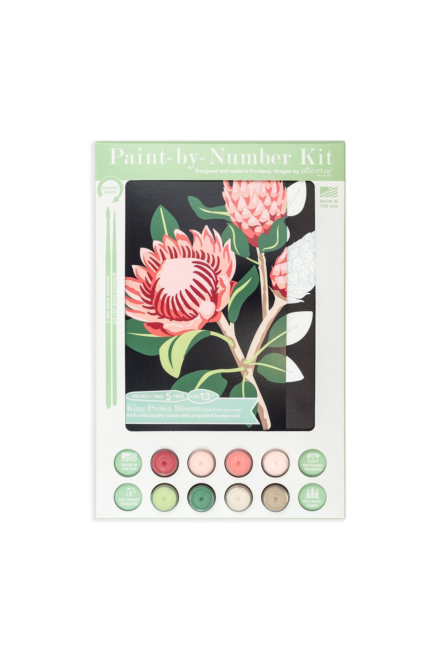 King Protea Blooms (black background) | 8x10 paint-by-number kit