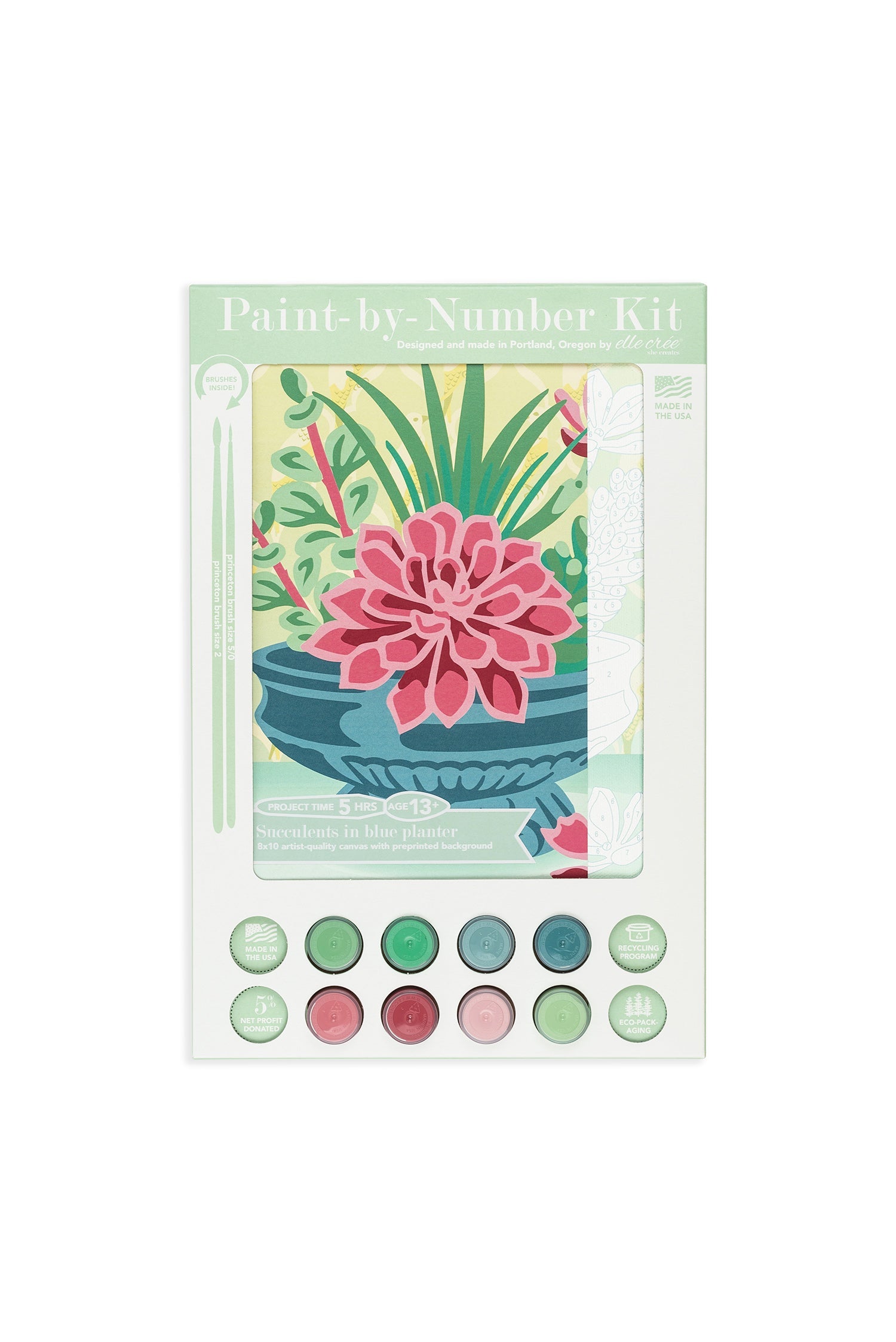 Succulents in Blue Planter | 8x10 paint-by-number kit