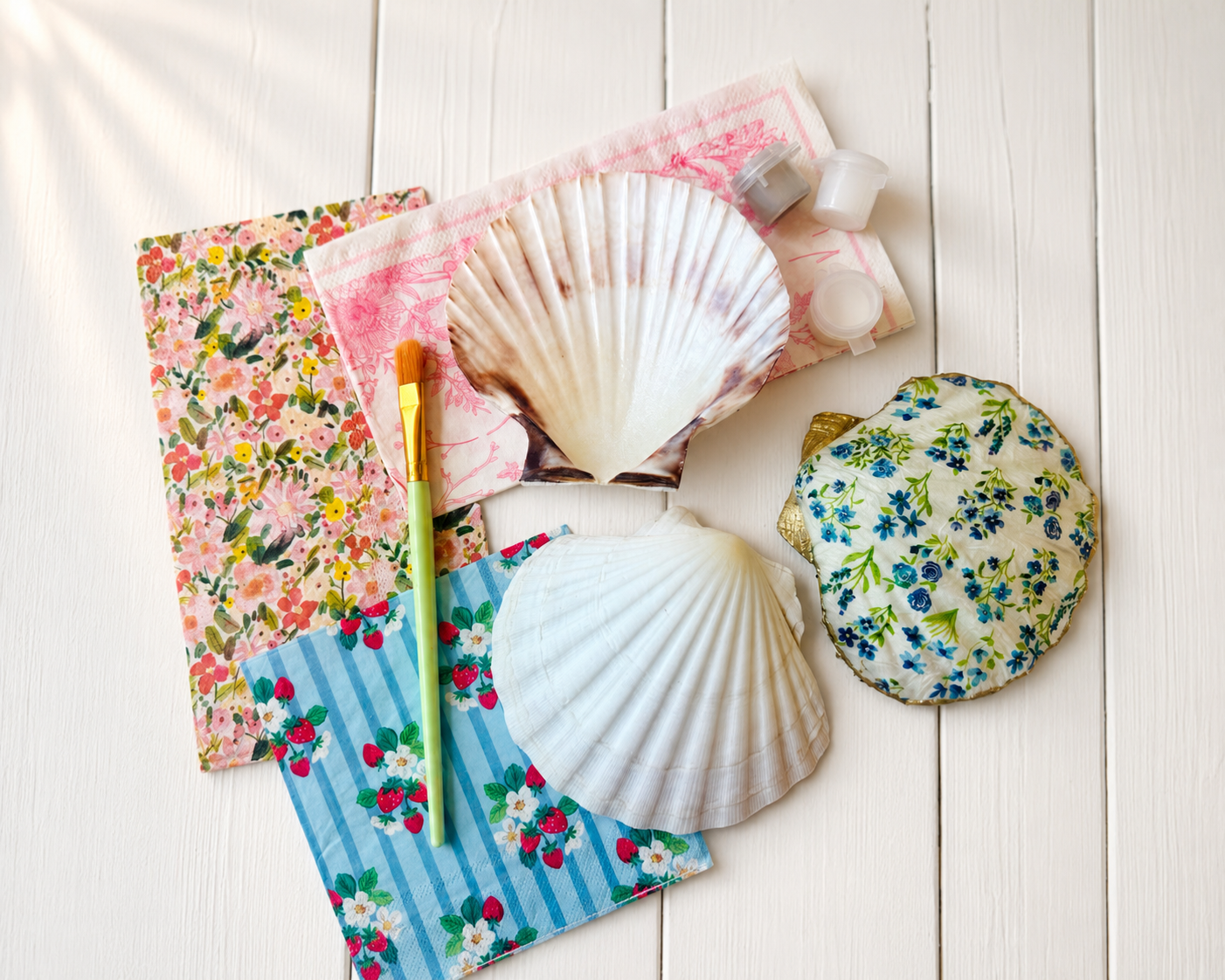 Seashell Decoupage Kit