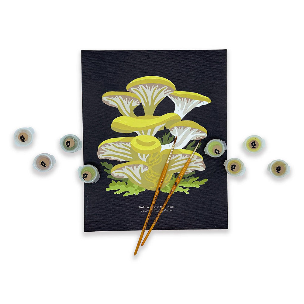 Golden Oyster Mushrooms | 8x10 paint-by-number kit