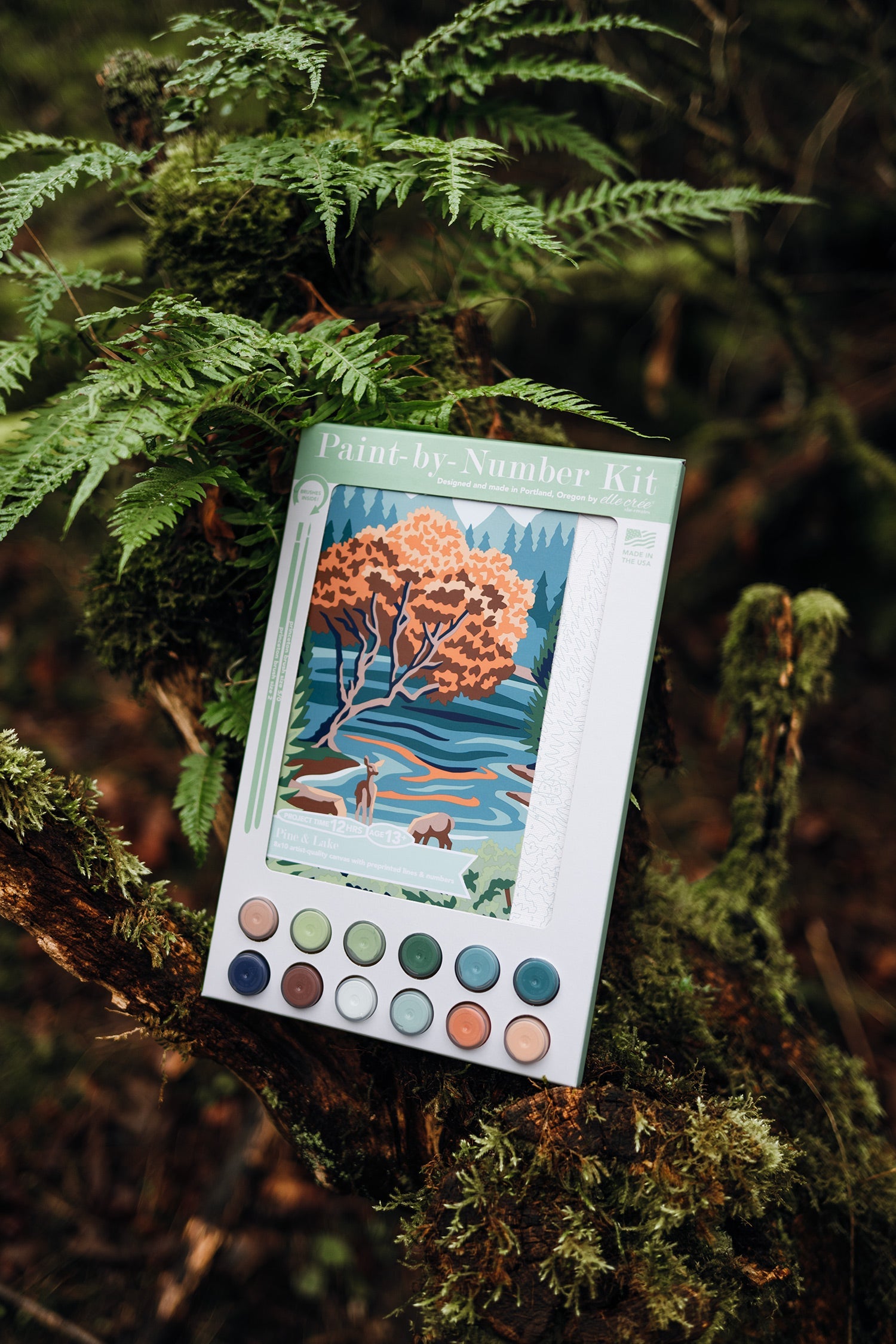Pine & Lake | 8x10 paint-by-number kit