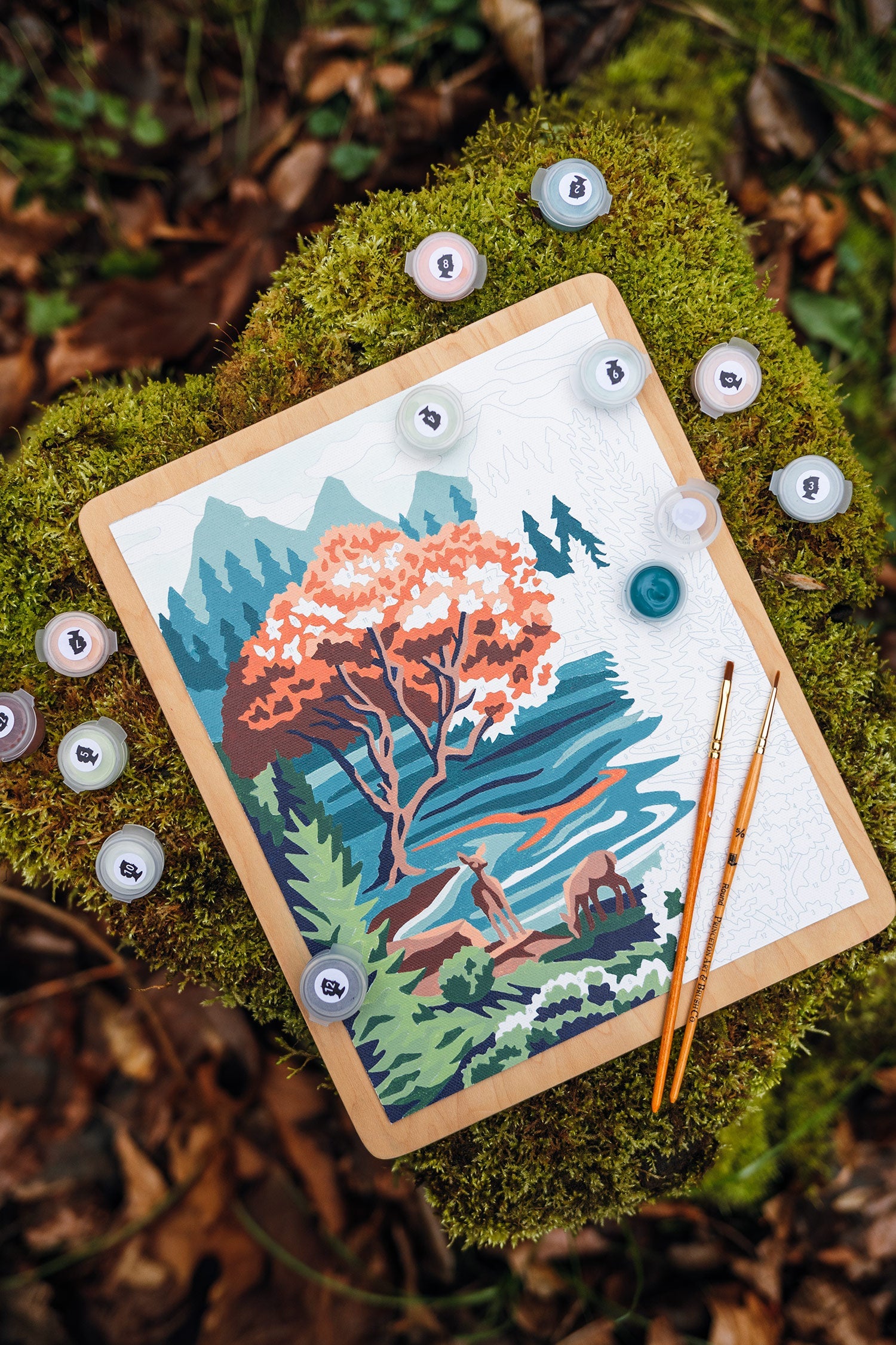Pine & Lake | 8x10 paint-by-number kit