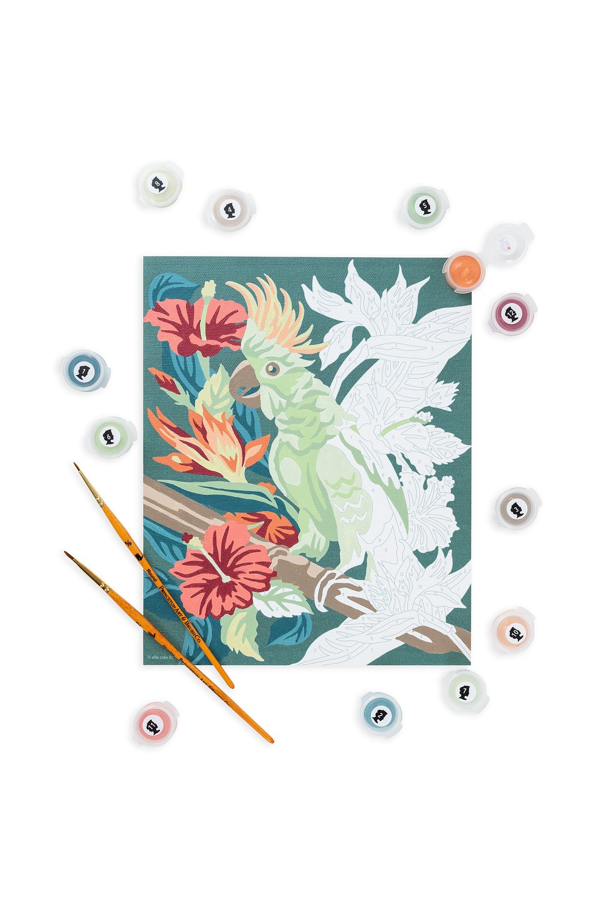 Perched in Paradise | 8x10 paint-by-number kit