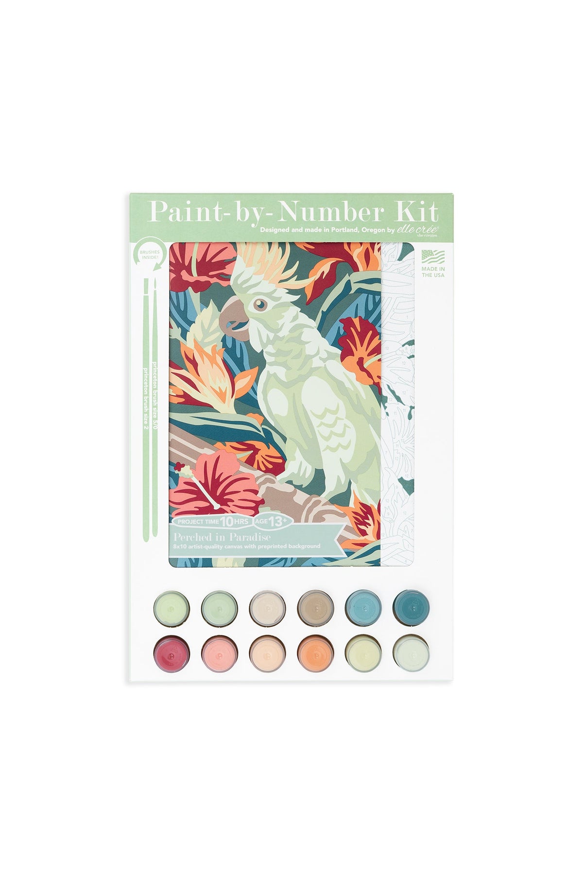Perched in Paradise | 8x10 paint-by-number kit