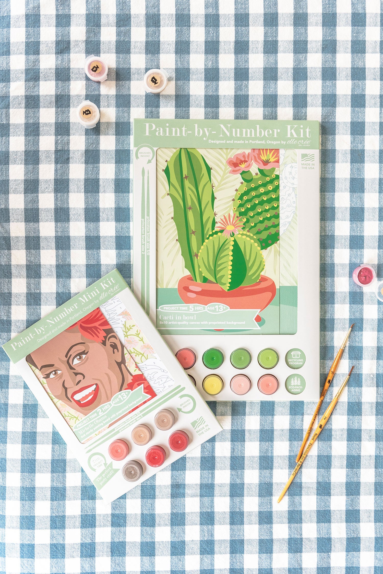 Cacti in Bowl | 8x10 paint-by-number kit