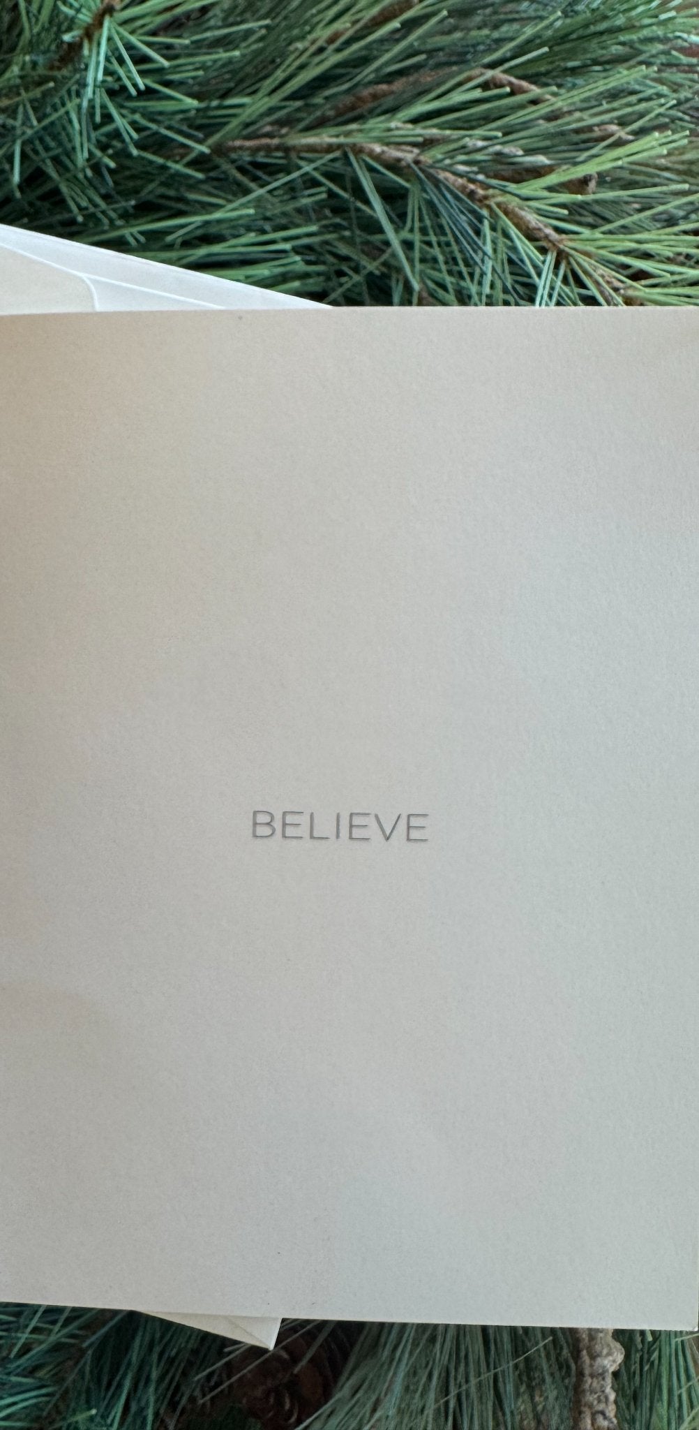 6813756fc324346626b37929_believe_1762813502629.jpg