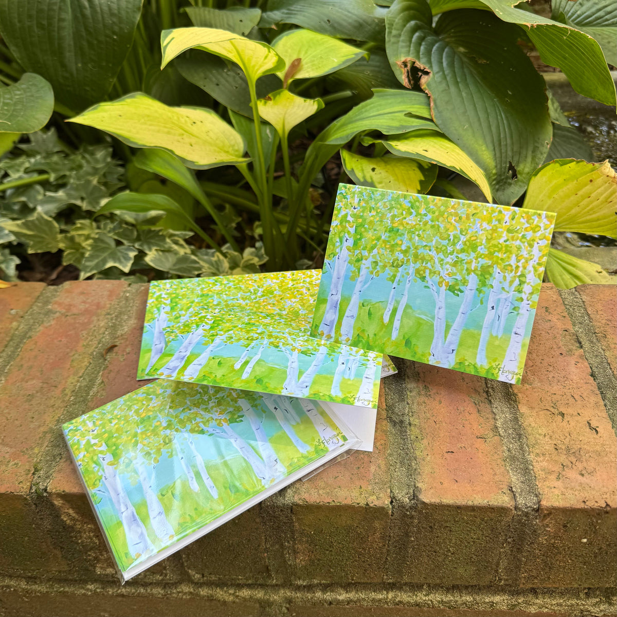 Aspen Trees Note Card Set
