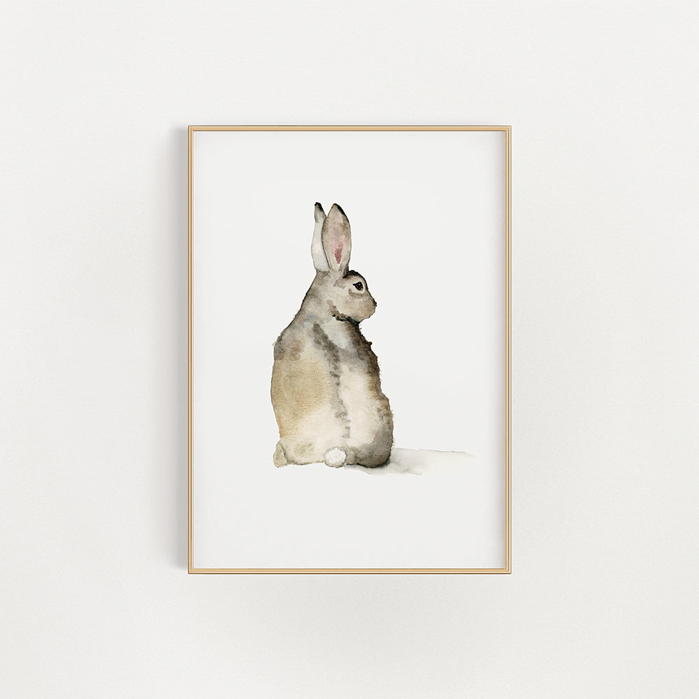 Cottontail Bunny Print