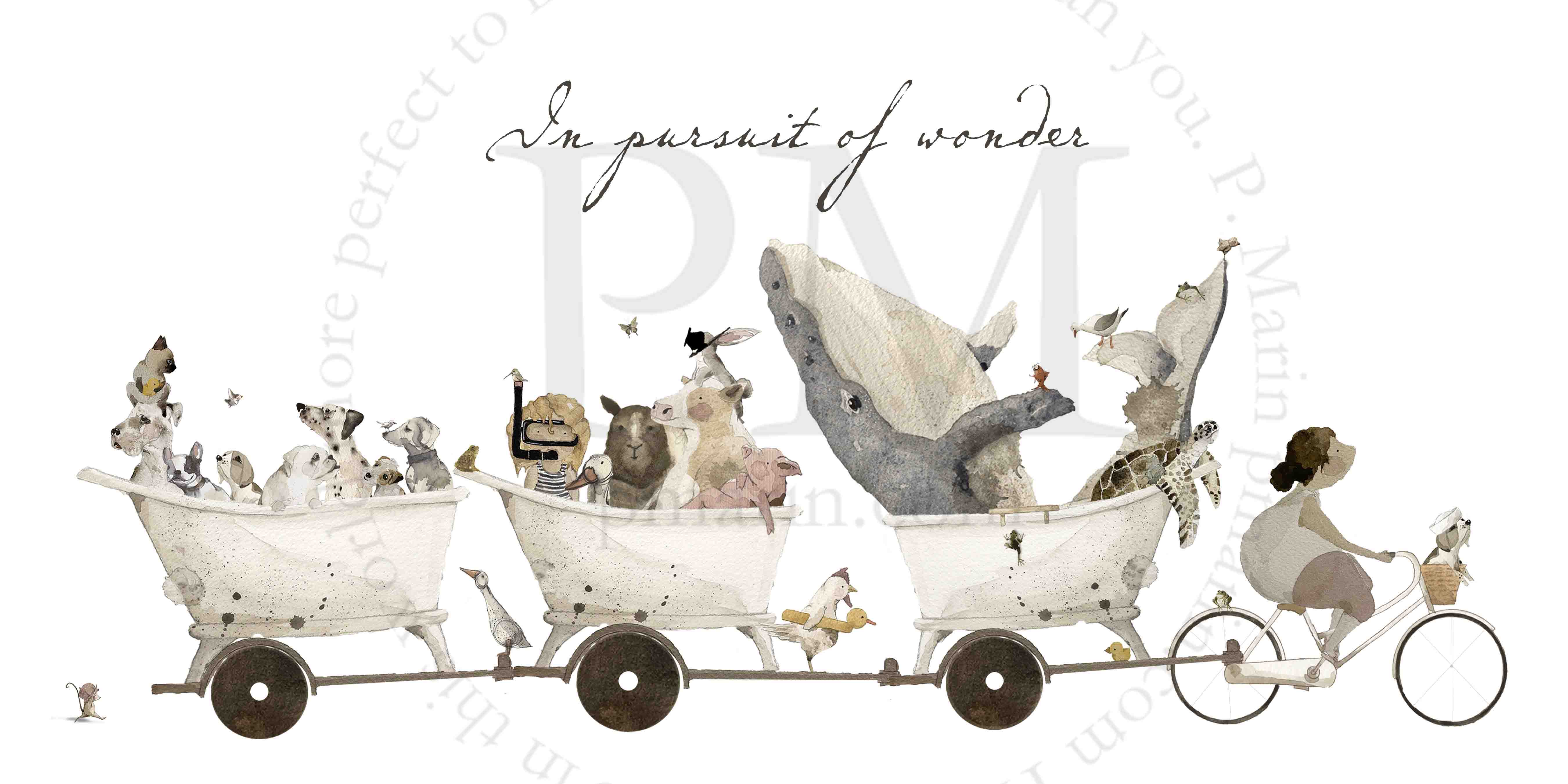 Art Print - In Pursuit of Wonder